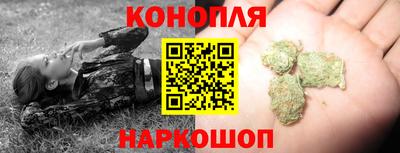 прущие грибы Гусев