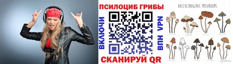 Псилоцибиновые грибы мухоморы Дивногорск