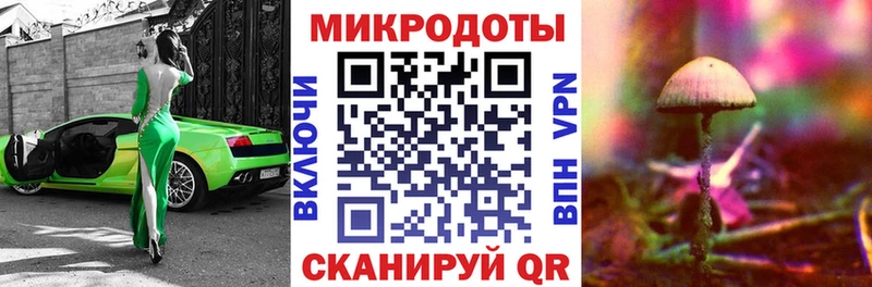 кракен сайт  Дивногорск  Галлюциногенные грибы MAGIC MUSHROOMS 
