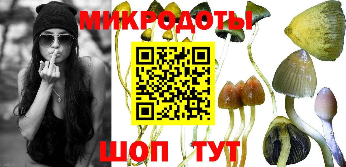 Псилоцибиновые грибы мицелий  Галлюциногенные грибы Cubensis  Дивногорск 