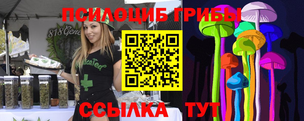 Галлюциногенные грибы Psilocybe Дивногорск