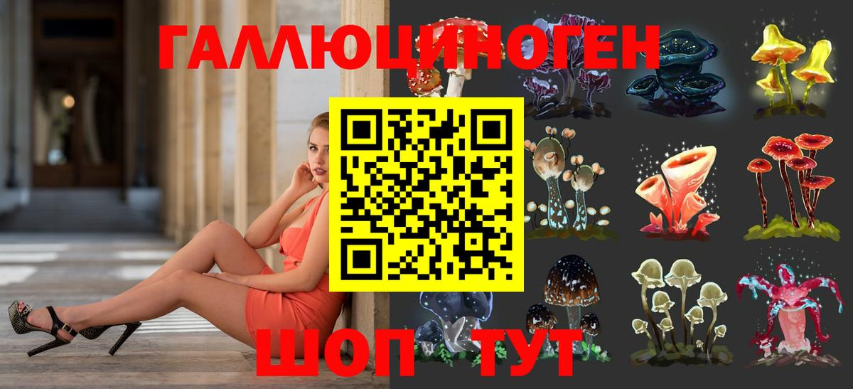 Конопля  XTC  Вход с VPN  Дивногорск  Хэш  Магазины продажи наркотиков  Хэш  Мяу-Мяу 