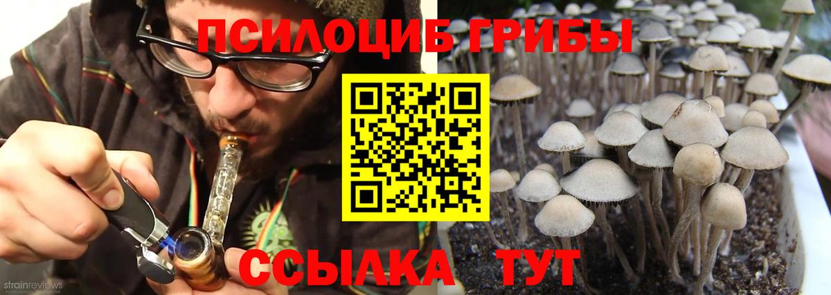 Галлюциногенные грибы мицелий  Псилоцибиновые грибы GOLDEN TEACHER  Вход с VPN  магазин продажи наркотиков  Дивногорск 