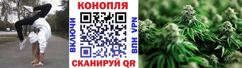 Бошки Шишки SATIVA & INDICA  что такое   hydra tor  Дивногорск 